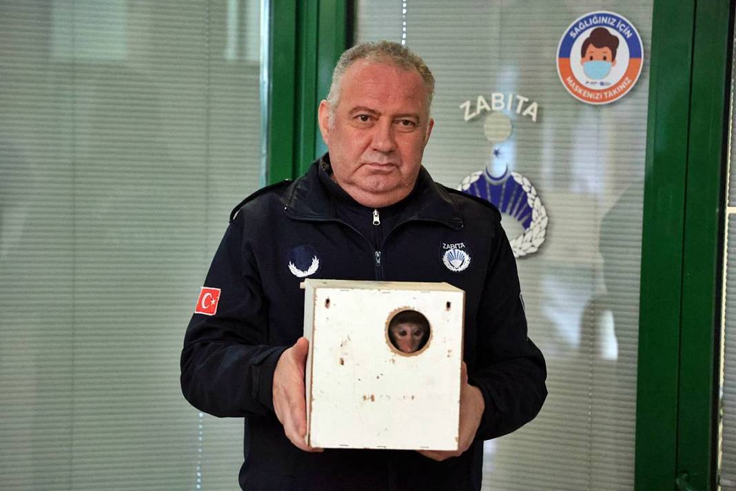 Otobüsle gönderilen koliyi kimse almayınca şoke eden gerçek ortaya çıktı! Hiç kimse bu kadar absürtlüğü tahmin edemezdi 1